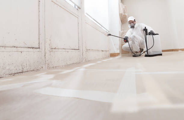 24/7 Emergency Attic Mold Removal experts in New Jersey, NJ