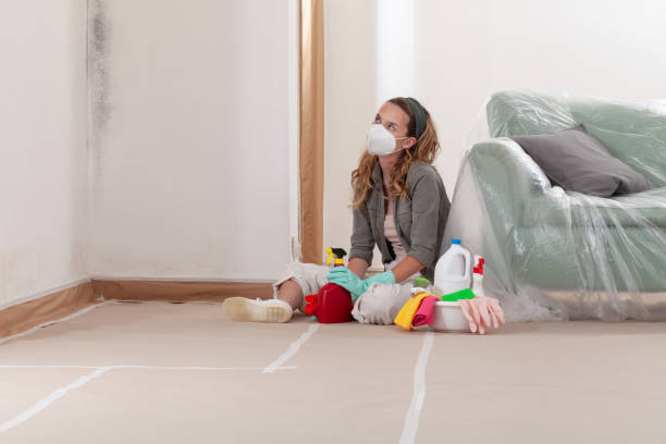 Reliable Attic Mold Removal contractor in New Jersey, NJ by WQB Mold Removal